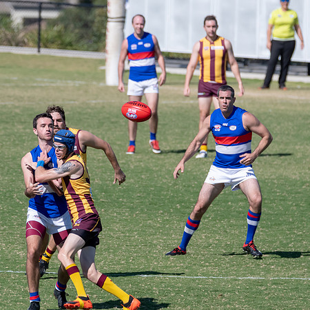 Black Diamond AFL Plate
