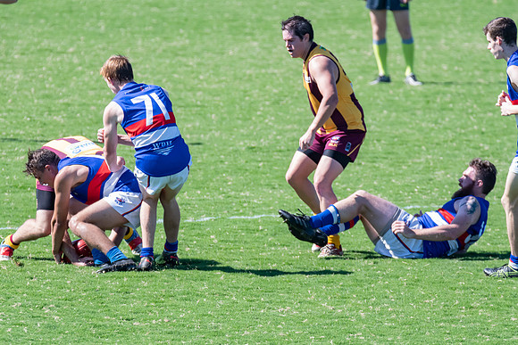 Black Diamond AFL Plate