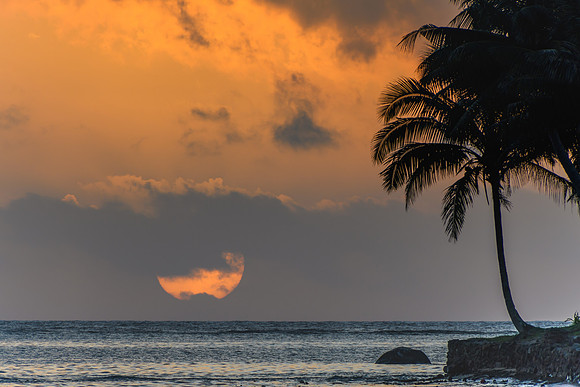Tropical Sunset with Palm Trees in Silhouette