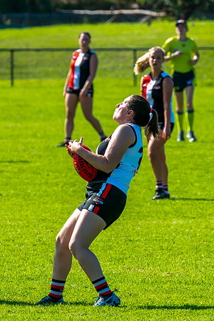 Rd 4 WD2 - Inner West v Randwick City - 25 April 2025