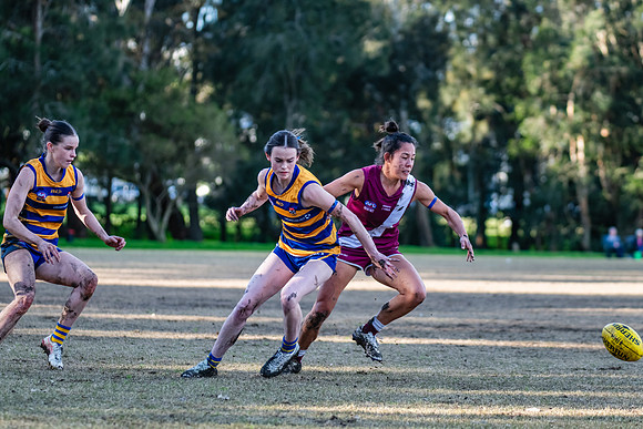 Rd 17 WPD - Manly Warringah v Sydney Uni - 16 August 2025