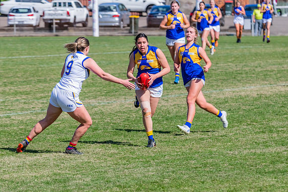 WPD Preliminary Final - East Coast v Sydney University - 21 Augu