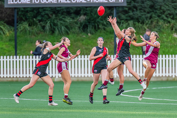 Rd 1 WPD - North Shore v Manly Warringah - 8 June 2024