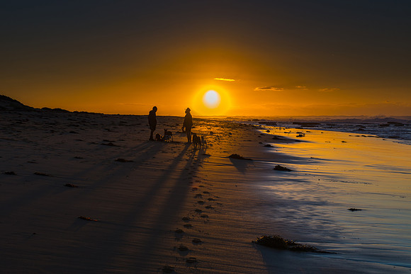 Men, Dogs and Shadows - Sunrise Seascape