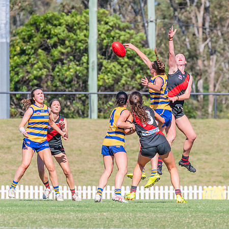 WPD Elimination Final - North Shore v Sydney Uni - 1 September 2