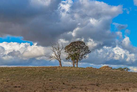 Clouds and a Winter sky over rural land