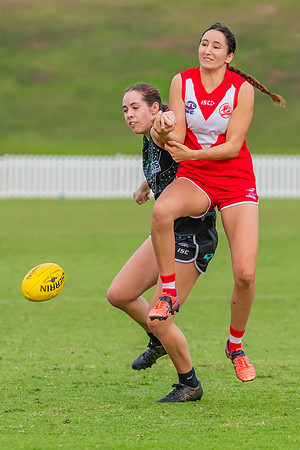 Rd 7 WPD - St George v UTS - 25 May 2024