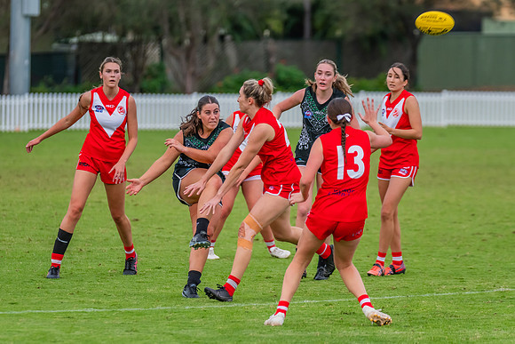 Rd 7 WPD - St George v UTS - 25 May 2024
