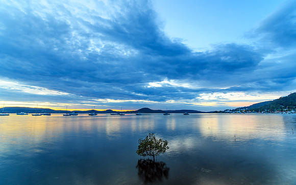 Daybreak Waterscape