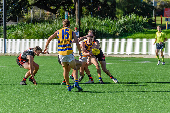 Rd 3 MPD - North Shore v Sydney Uni - 23 April 2022