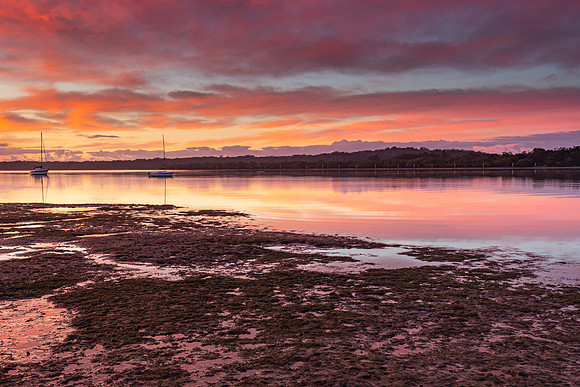 River Waterscape