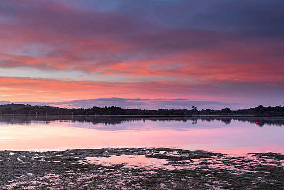 Sunrise River Waterscape