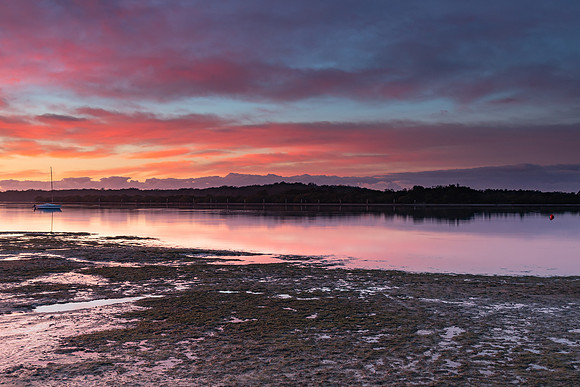River Waterscape