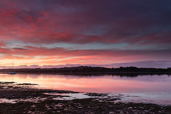 Pinks and Purples Sunrise River Waterscape