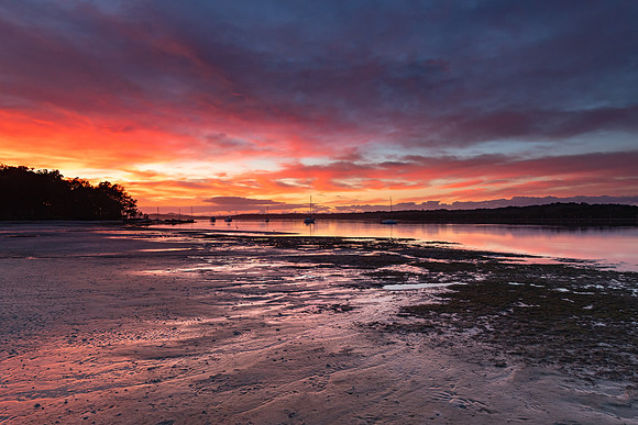 River Waterscape