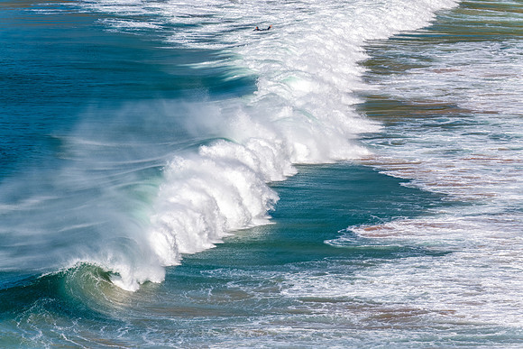 Waves at Whale Beach