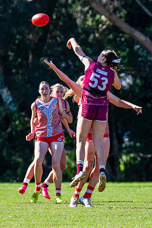 Rd 6 WPD - St George v Manly Warringah - 17 May 2025