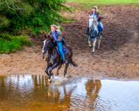 Early Morning Running Of The Horses at Glenworth Valley