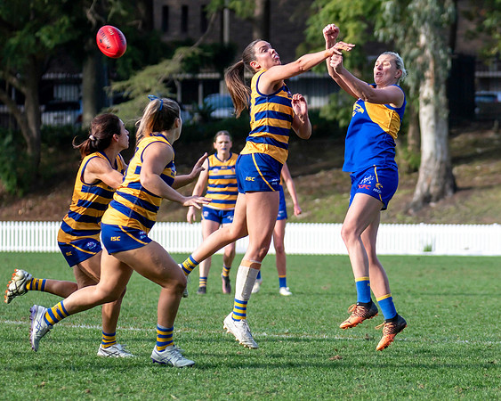 Rd 12 WPD - Sydney Uni v East Coast - 5 July 2025