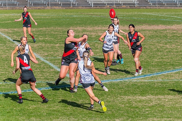 WPD Elimination Final - North Shore v Inner West - 7 August 2022