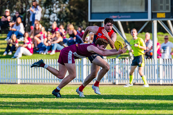 MPD Preliminary Final - Pennant Hills v Manly-Warringah - 14 Sep