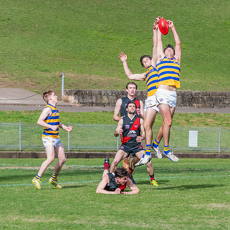 MPD Qualifying Final - North Shore v Sydney University - 20 Augu