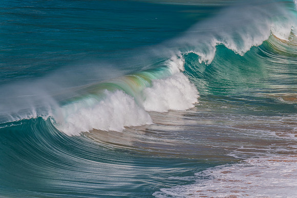 Waves at Whale Beach