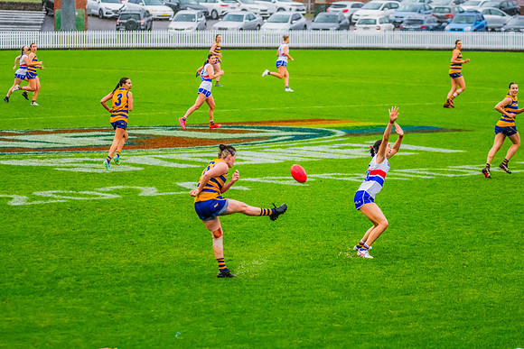 Rd 8 WPD - UNSW-ES v Sydney Uni - 1 June 2024
