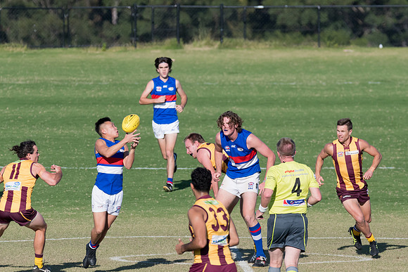 Black Diamond AFL Cup
