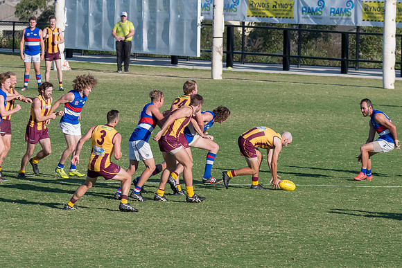 Black Diamond AFL Cup