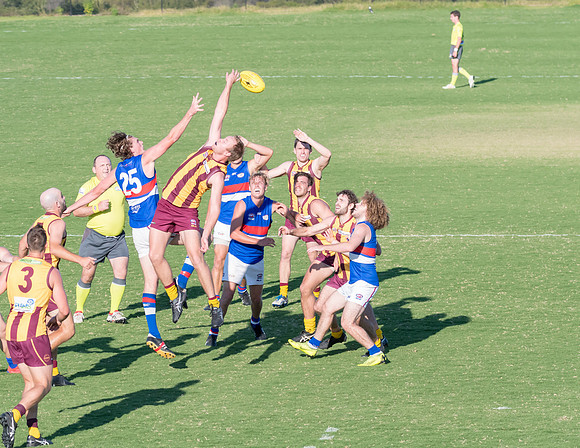 Black Diamond AFL Cup