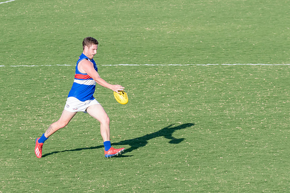 Black Diamond AFL Cup