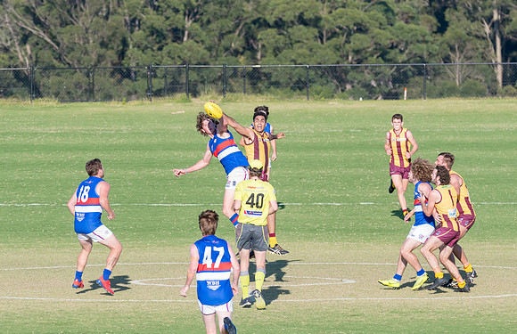 Black Diamond AFL Cup