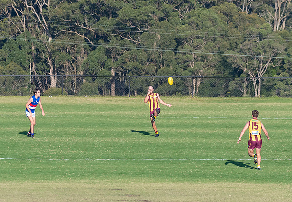 Black Diamond AFL Cup