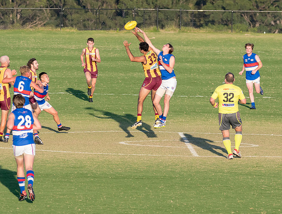 Black Diamond AFL Cup