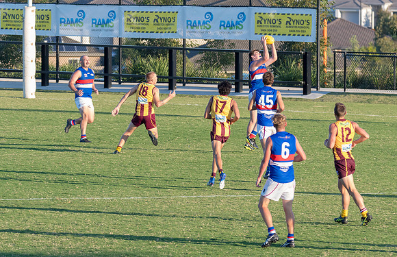 Black Diamond AFL Cup