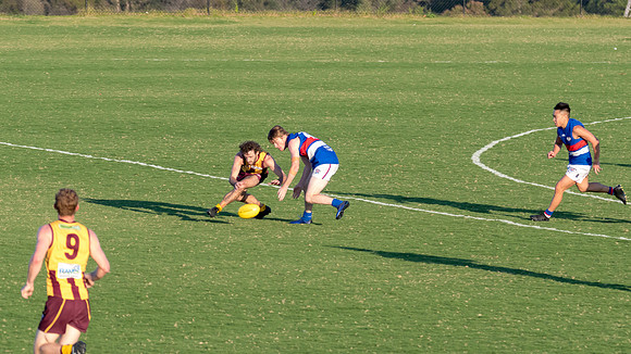 Black Diamond AFL Cup