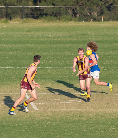 Black Diamond AFL Cup