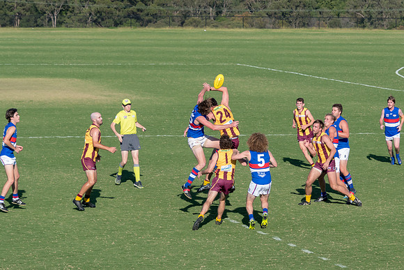 Black Diamond AFL Cup