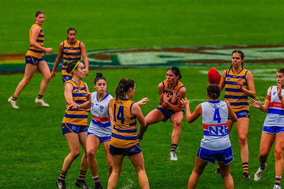 Rd 8 WPD - UNSW-ES v Sydney Uni - 1 June 2024