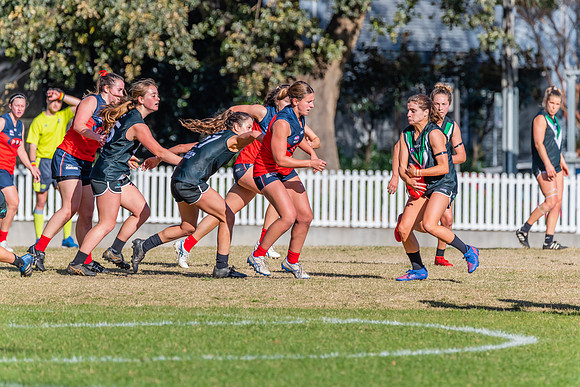 Rd 11 WPD - UTS v Pennant Hills - 25 June 2022