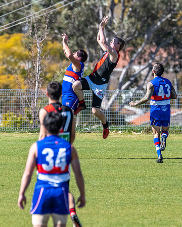 Plate  - Warners Bay v Killarney Vale - Elimination Final
