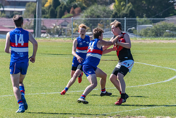 Plate  - Warners Bay v Killarney Vale - Elimination Final