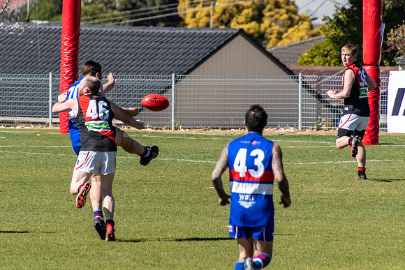 Plate  - Warners Bay v Killarney Vale - Elimination Final