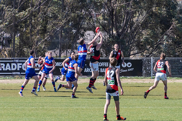 Plate  - Warners Bay v Killarney Vale - Elimination Final