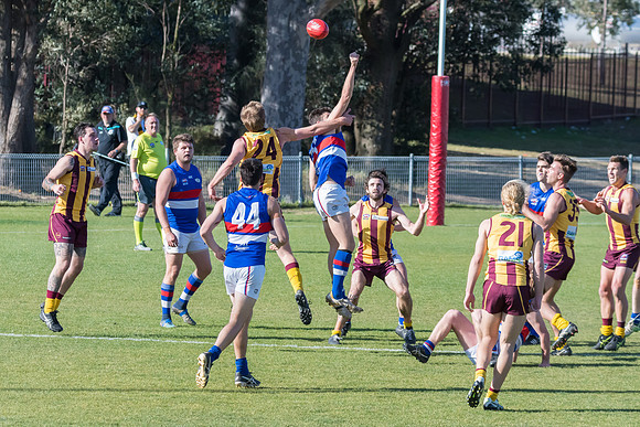 Black Diamond Cup - Cardiff v Warners Bay - Elimination Finals