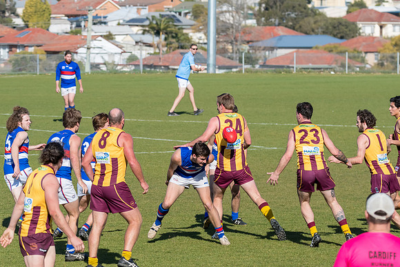Black Diamond Cup - Cardiff v Warners Bay - Elimination Finals