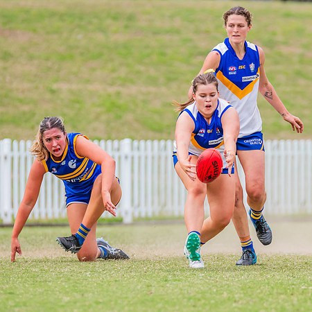 WPD Semi Final - Parramatta v Sydney Uni - 8 September 2024