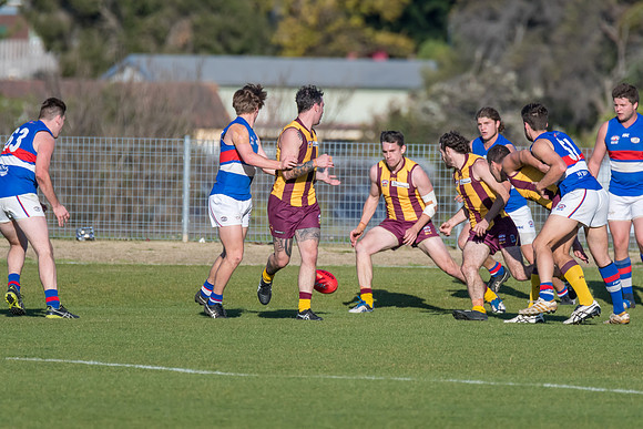 Black Diamond Cup - Cardiff v Warners Bay - Elimination Finals