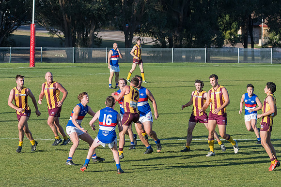 Black Diamond Cup - Cardiff v Warners Bay - Elimination Finals
